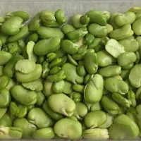 باقالی سبز پاک شده یه دست