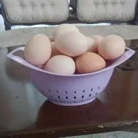 تخم مرغ محلی