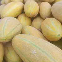 خربزه