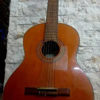 گیتار اصل فرناندز