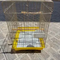 قفس عروس هلندی ، مینا ، گرینچیک ، برزیلی
