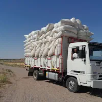 فروش کاه ویونجه وپرس گندم وجو