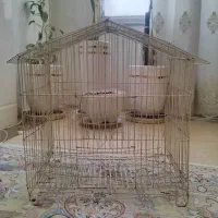 یک عدد قفس