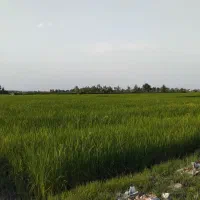 زمین-کشاورزی-3400-متری
