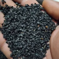 بذر پیاز مینروا تضمینی