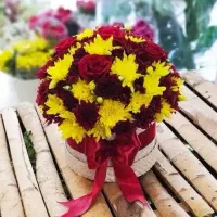 باکس گل فانتزی داودی اقتصادی