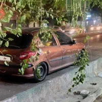 206تیپ دو