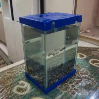 اکواریوم دکوری