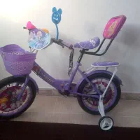 دوچرخه رنگ سوسنی 16