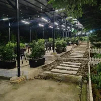 اشپز رستوران