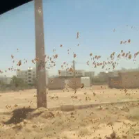منزل-ویلایی-شهرک-پرواز