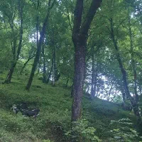 تور یک روزه مشگین شهر