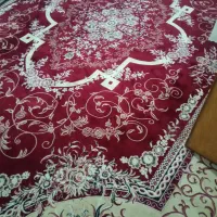 فرش و تلویزیون