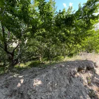 زمین باغی کوهستانی مجاور رودخانه
