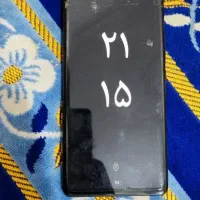 گوشی داریا درحد خشک