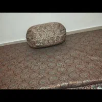 شاه نشین