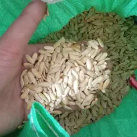 تخم خربزه انگور