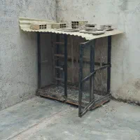 قفس کبوتر