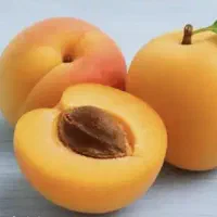 زردآلو درجه یک