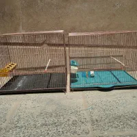 قفس سالم درجه یک