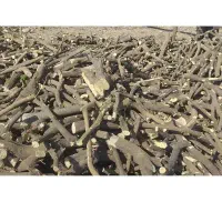خریدار و برشکاری چوب پرتقال نارنگی لیمو و جنگلی