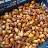 رطب آلمهتری
