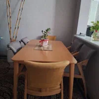 میز۶نفره چوب راش