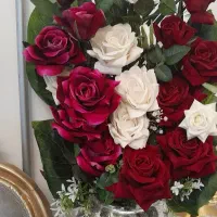 گل نو۲۵۰۰۰۰۰۰
