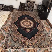 قالی