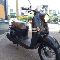 پاکشتی وینو