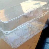 ظروف یکبار مصرف