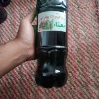 شربت