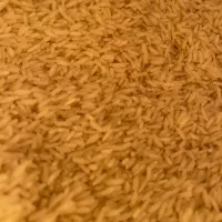 برنج طارم اعلا کشت ۲