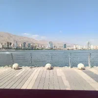 فرصت شراکت در غرفه میوه و نوشیدنی خاص
