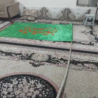 با چوب پرچ م سبز