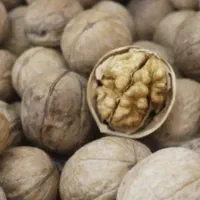 گردو پوست کاغذی گوشتی ارزان با ارسال به سراسر کشور