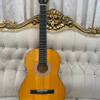 گیتار فوق العاده تمیز