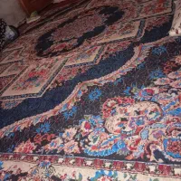 جفت قالی ۱۲ متری