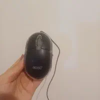 موس