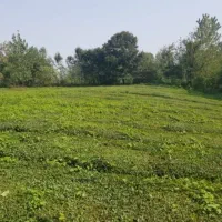 زمین فروشی ب مساحت ۴۰۰متر