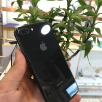 iPhone 8 Plus|موبایل|مشهد, کارگران|دیوار