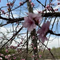 طبیعت گردی حومه کاشان