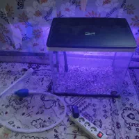 اکواریم بسیار زیبا