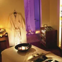 استخدام و آموزش ماسیس بدون تجربه