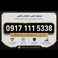 0917.111.5338