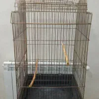 قفس، طوطی