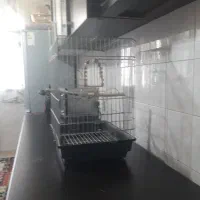 قفس بزرگ برای پرنده