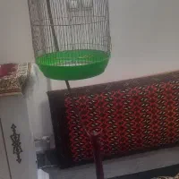 قفس پایه دار