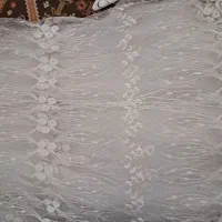 پرده و کنار پرده ای