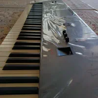 ارگ Pa4X-ORIENTAL-76